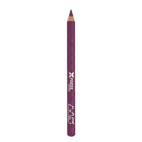 MD Express Yourself Lip Color Pencil - 237