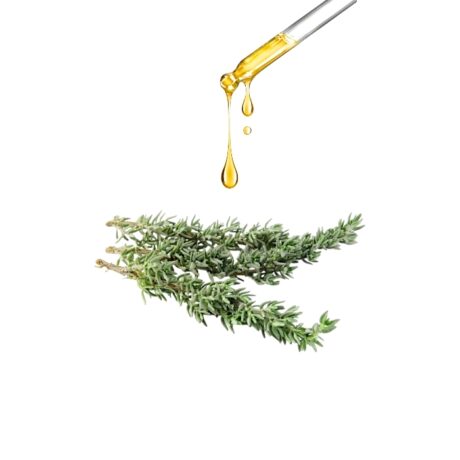Essans Ζαχαροπλαστικής Θυμάρι 1ml – Συμπυκνωμένο αρωματικό έλαιο για γλυκά & μαγειρική
